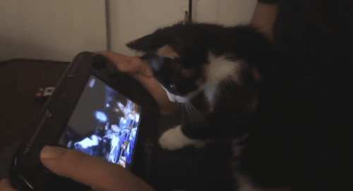 今回の動画は、スマブラWiiUのゲームパッドでのプレイに、ネコも興味津々というようなもの