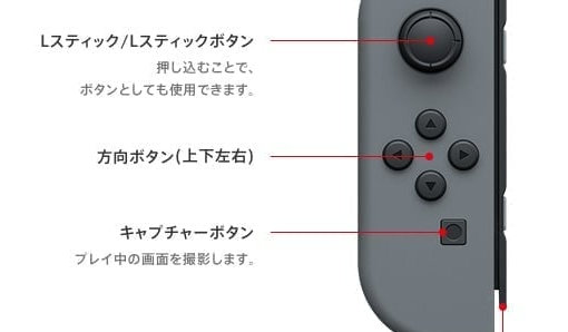 Nintendo Switch Liteの十字キー